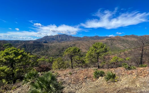 Plot en la zona de Estepona